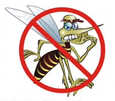 SEMANA TERÁ MAIS UM ARRASTÃO CONTRA MOSQUITO DA DENGUE
